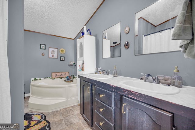 bathroom featuring vanity, ornamental molding, a textured ceiling, and a washtub