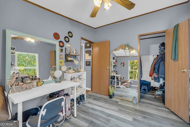 1000 Nails Creek Xing, Royston, GA 30662 - office space featuring ceiling fan, ornamental molding, healthy amount of natural light, wood finished floors, and a textured ceiling