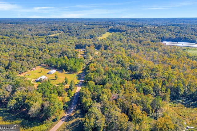 bird's eye view