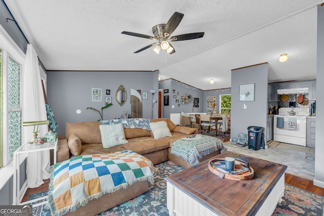 living room with lofted ceiling, washer / clothes dryer, a textured ceiling, and wood-type flooring