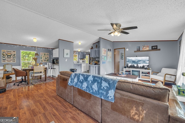 1000 Nails Creek Xing, Royston, GA 30662 - living room featuring a textured ceiling, ceiling fan, wood finished floors, and vaulted ceiling