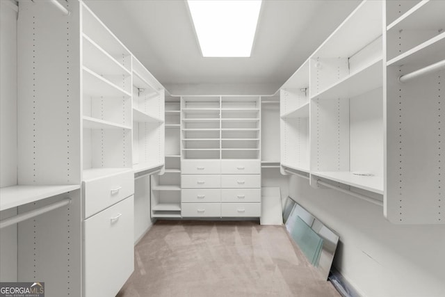 walk in closet featuring carpet flooring