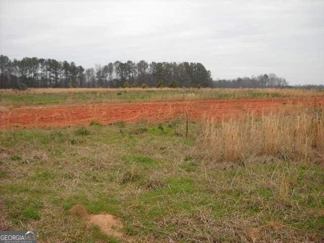 LOT1 Mathews Rd, Milner GA, 30257 land for sale