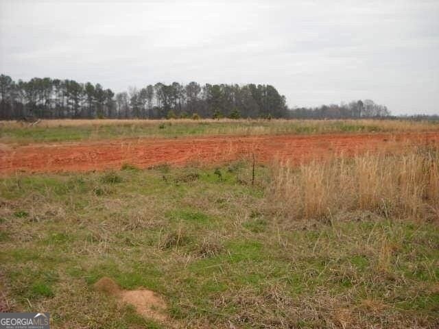 LOT2 Mathews Rd, Milner, GA 30257