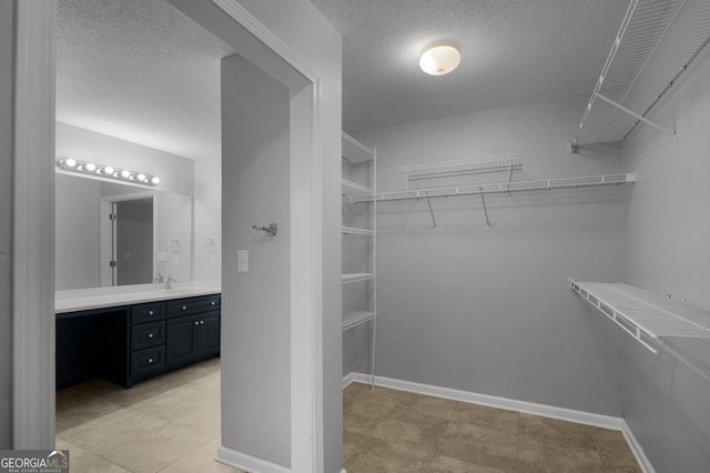 spacious closet with sink