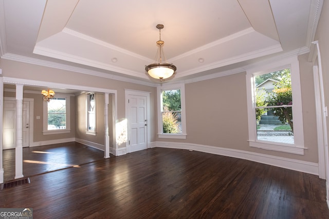 interior space featuring dark wood-type flooring, a raised ceiling, and plenty of natural light