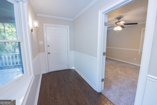 doorway to outside with a wealth of natural light, dark wood-type flooring, and crown molding