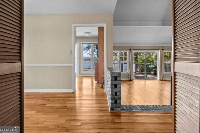 interior space featuring baseboards, plenty of natural light, and wood finished floors