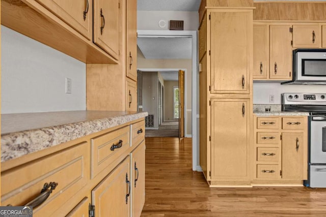 kitchen with light wood-style floors, light brown cabinetry, and stainless steel appliances