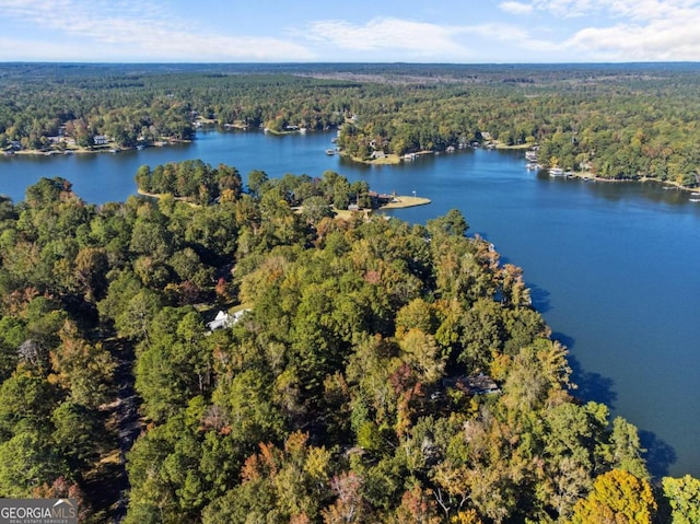 birds eye view of property featuring a water view and a wooded view