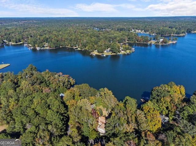 drone / aerial view with a view of trees and a water view