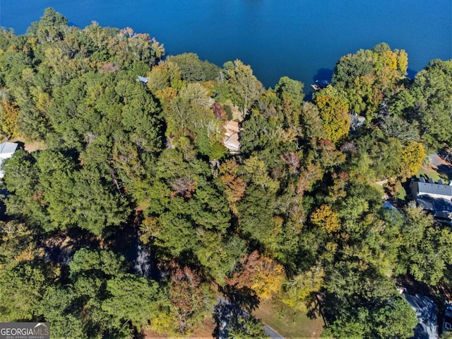 aerial view featuring a forest view
