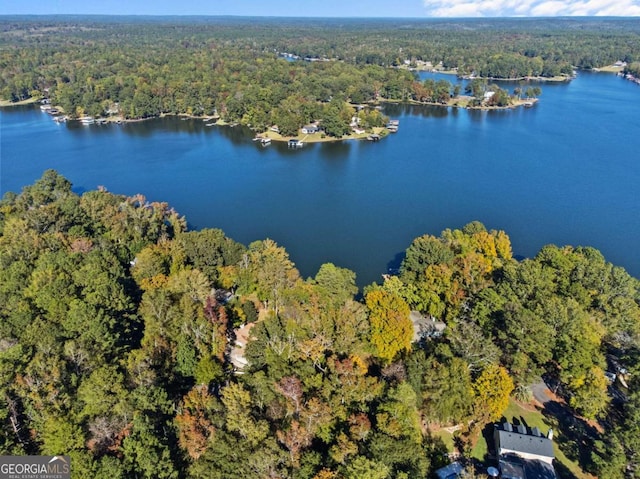 bird's eye view with a water view and a forest view