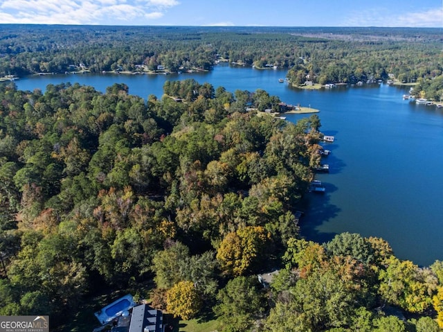 drone / aerial view featuring a view of trees and a water view
