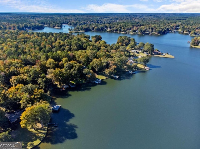 drone / aerial view with a water view and a view of trees