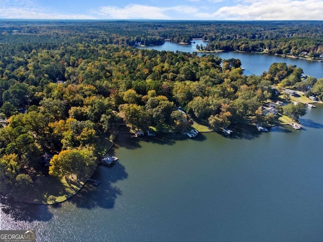 aerial view with a water view and a view of trees