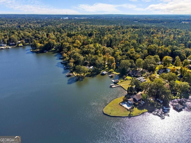 drone / aerial view featuring a view of trees and a water view