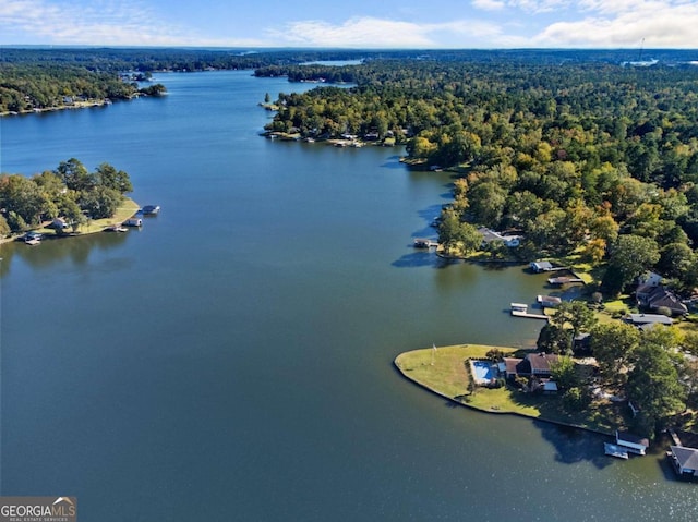 aerial view with a water view and a view of trees