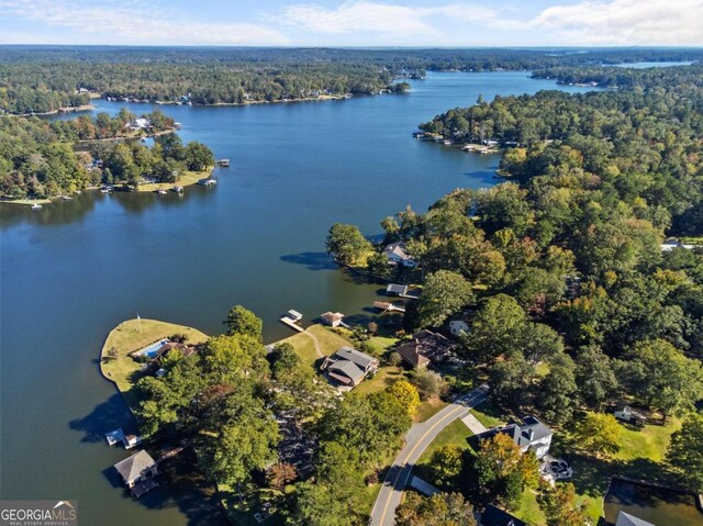 birds eye view of property featuring a water view and a forest view