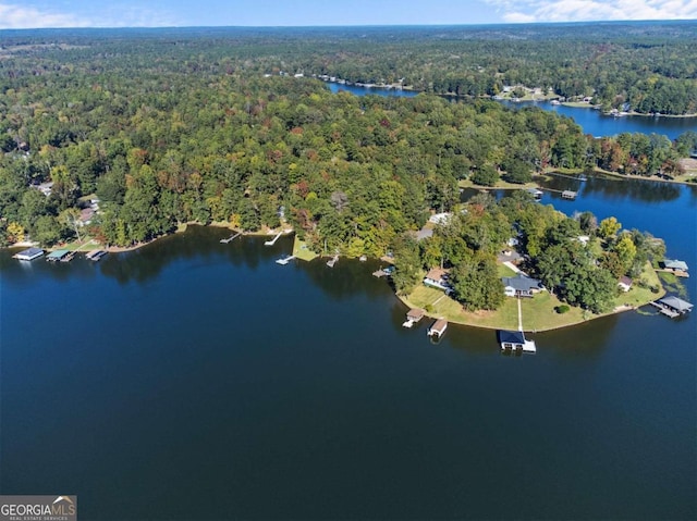 bird's eye view featuring a water view and a wooded view