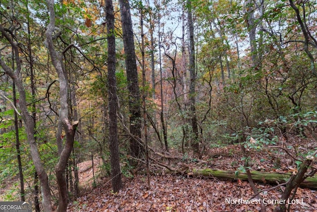 Listing photo 2 for 00 Chimney Mountain Flats Trail, Clarkesville GA 30523