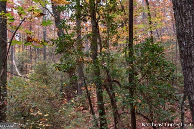 Listing photo 3 for 00 Chimney Mountain Flats Trail, Clarkesville GA 30523