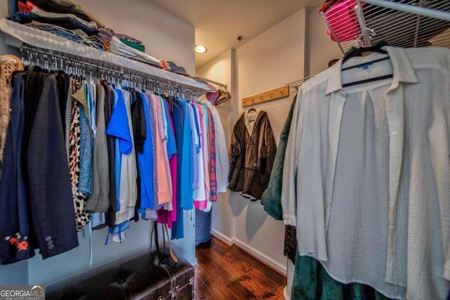 spacious closet featuring dark hardwood / wood-style flooring