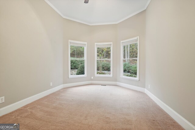 carpeted spare room featuring crown molding