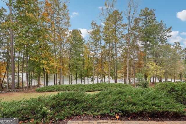 view of local wilderness featuring a water view