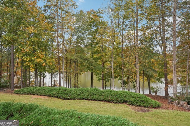 view of water feature