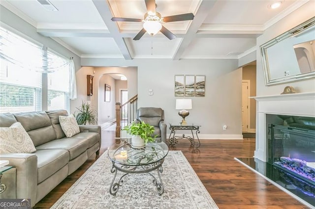 living room with ceiling fan, coffered ceiling, beamed ceiling, dark wood-type flooring, and ornamental molding