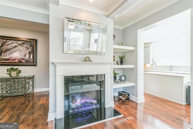 room details with ornamental molding and wood-type flooring