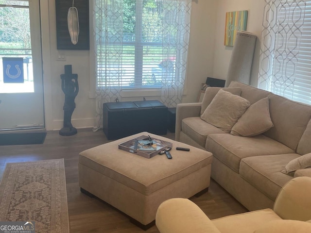 living room with hardwood / wood-style flooring