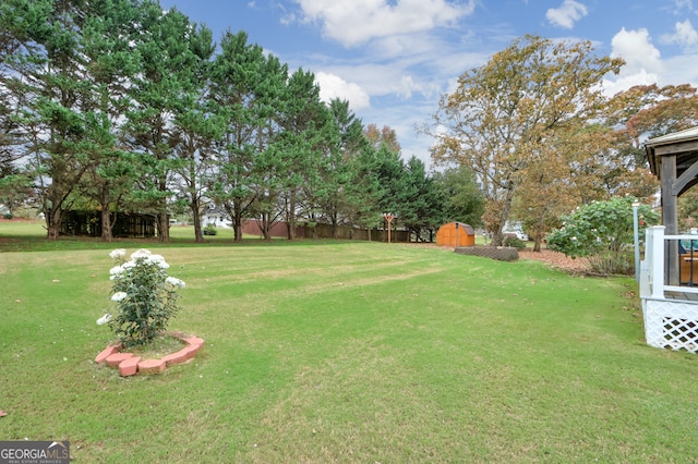 view of yard with a shed