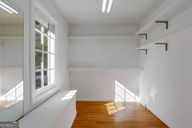 walk in closet with light wood-type flooring