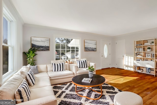 living room with crown molding and wood-type flooring