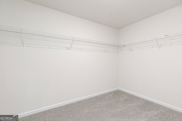 walk in closet featuring carpet