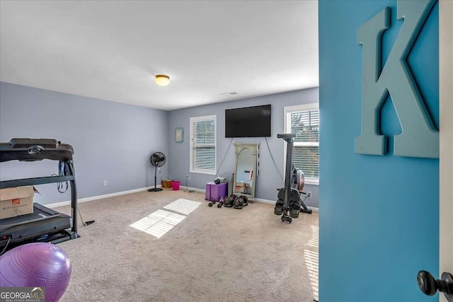 workout area with carpet