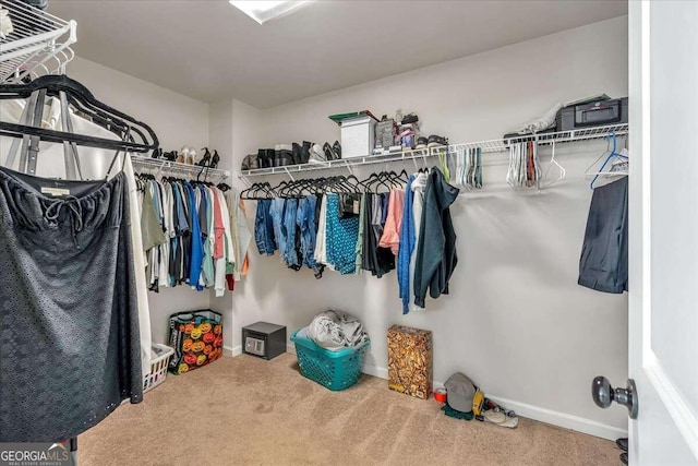 walk in closet featuring carpet floors