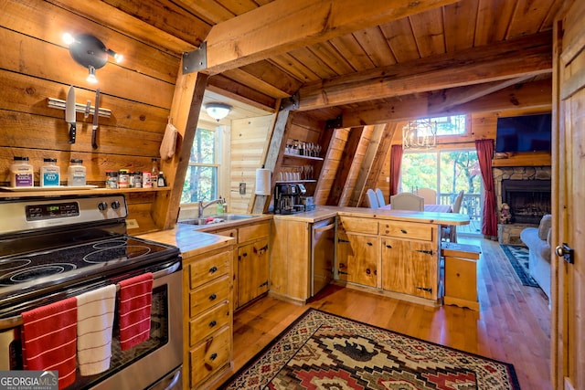 kitchen featuring appliances with stainless steel finishes, light hardwood / wood-style flooring, and a healthy amount of sunlight