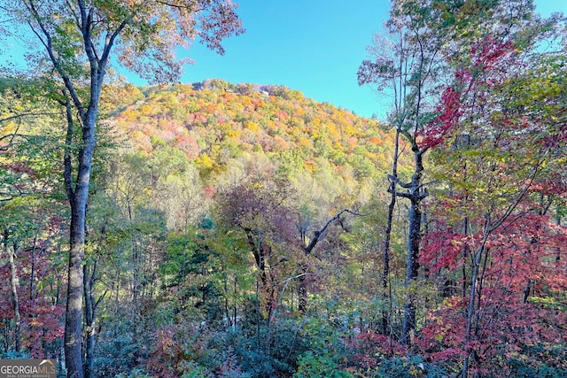 property view of mountains