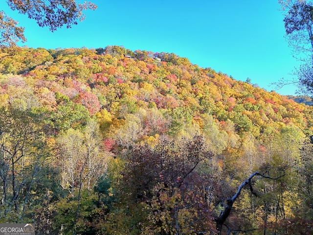 view of mountain feature