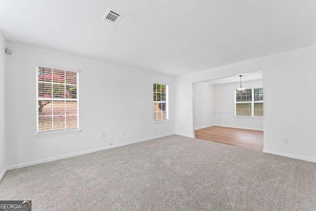 spare room with carpet flooring and a wealth of natural light