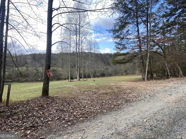 view of yard featuring a view of trees