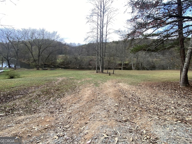 view of yard with a forest view