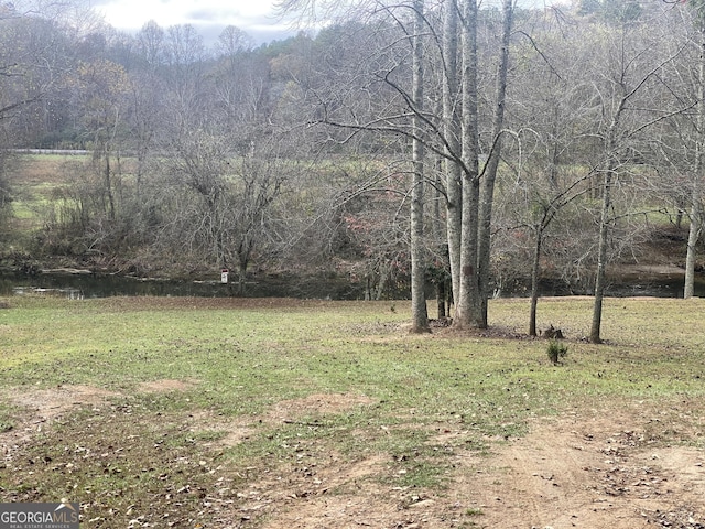 view of yard with a forest view