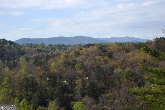 view of mountain feature with a wooded view