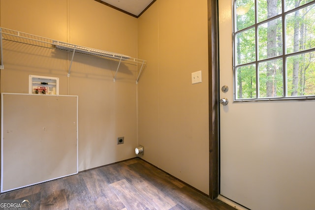 laundry room with hookup for a washing machine, electric dryer hookup, and dark hardwood / wood-style flooring