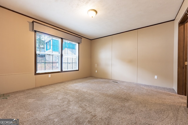 spare room featuring a textured ceiling, carpet floors, and ornamental molding