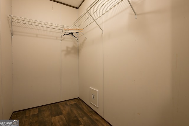 walk in closet with dark hardwood / wood-style flooring